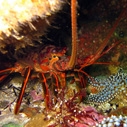 A Southern California man received the first citation under new MPA laws