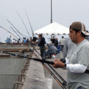 Fisherman Appreciation Day Venice Beach Los Angeles