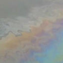 Photo: Marina del Rey Patch
