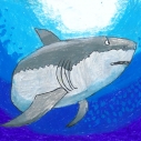 California Coastal Commission, Art & Poetry Contest