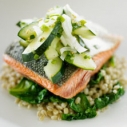 coho salmon, fish, food, alaska