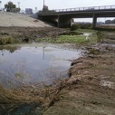 Compton Creek Healthy Neighborhoods, Healthy Environment community garden