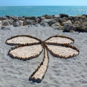 St. Patrick's Day 4-leaf clover luck beach sand santa monica patagonia shells 