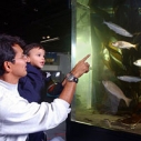 Santa Monica Pier Aquarium