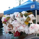 Two More Cities Ban Plastic Bags