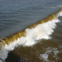 Red Tide in Santa Monica Bay