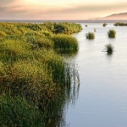 Santa Clara River, by Flickr User Wendell