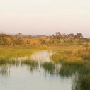 Santa Clara River estuary
