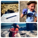 BEST SHOTS COASTAL CLEANUP DAY 2012 PHOTO photography instagram beach contest