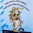 Santa Monica Pier Aquarium Open during Construction - Navigational Tips