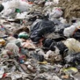 plastic bags, trash, beach, heal the bay, bag ban, los angeles, pollution