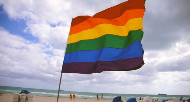 Beach Please Gay Pride Cleanup Afterparty LGBT Venice California