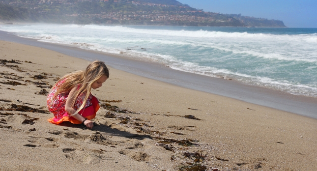 Beach Report Card Annual Report 2012 Redondo Beach Photo - Joy Aoki