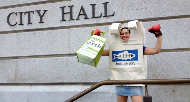 Los Angeles City Bag Ban June 2013 Victory