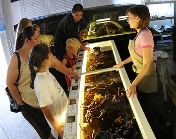 A volunteer helps out at the Touch Tanks