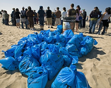 Help clean your local beach!