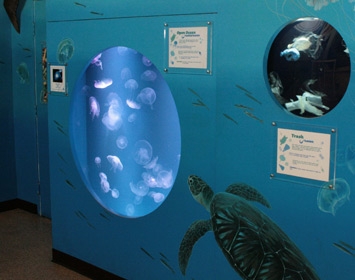 Santa Monica Pier Aquarium Moon Jelly Exhibit in Pollution Corner