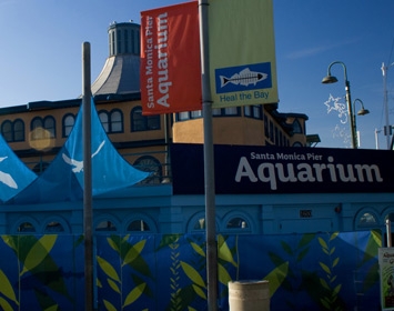 Santa Monica Pier Aquarium
