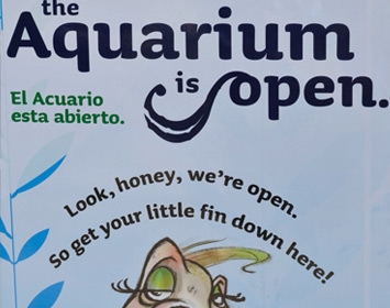 Santa Monica Pier Aquarium Signage