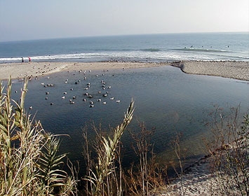 Surfers at Topanga Creek