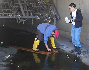 Water Sampling in Compton Creek