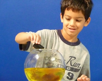Santa Monica Pier Aquarium Boy Fishbowl Pollution
