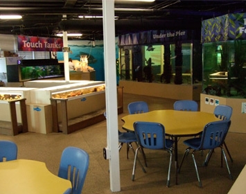 Santa Monica Pier Aquarium