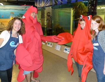 Santa Monica Pier Aquarium Volunteers