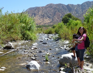 Creek Education: High school students take samples at local creek