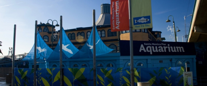 Santa Monica Pier Aquarium