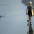 Surfer walking on wet sand