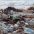 Trash on the beach at Playa del Rey