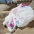 Heal the Bay Ban Plastic Single-Use Bags in Los Angeles