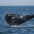 Gray Whale Tail Photo by D. Weller, NOAA