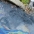  Take L.A. By Storm - Oil Runoff into Stormdrain