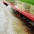 Taking L.A. By Storm, MS4 Stormwater Permit, Clean Water Act, Water Pollution