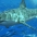  Threatened White Shark Terry Goss