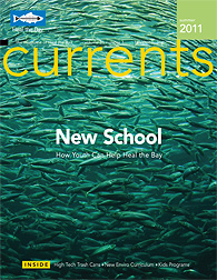 Currents Newsletter - Summer 2011