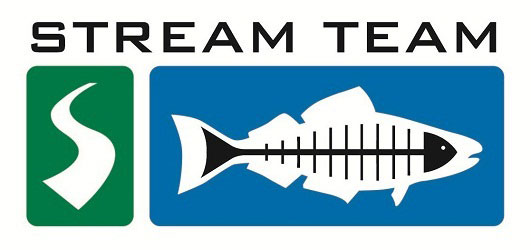 Stream Team