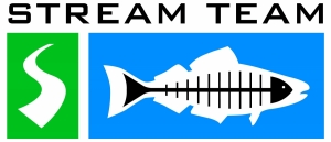 Stream Team Logo