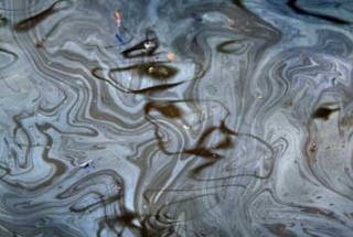 The Big Fix, Getty Images, John Moore, oilspill